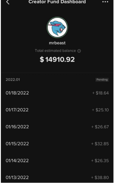 Mr Beast Creator fund Dashboard