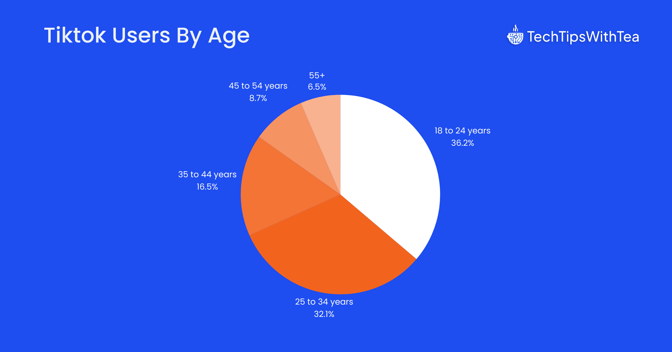 Tiktok Users By Age